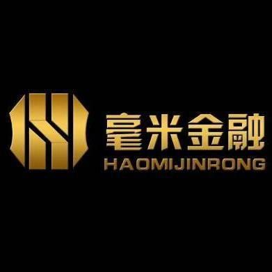 上海毫米金(jin)融信(xin)息服(fu)務(wu) 專(zhuan)業金(jin)融信(xin)息咨詢(xun)的(de)領航(hang)者